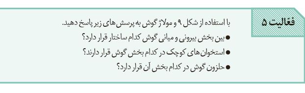 سوال-فعالیت-5-فصل-2-صفحه-29-زیست-یازدهم