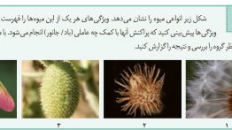 سوال-فعالیت-۸-فصل-۸-صفحه-۱۳۴-زیست-یازدهم