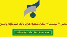 لیست و آدرس و تلفن شعبه های بانک سرمایه در یاسوج