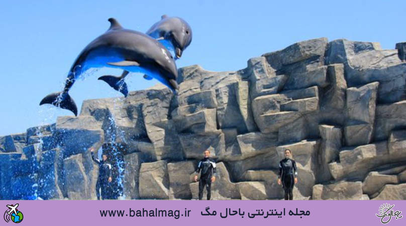 دلفیناریوم باتومی گرجستان