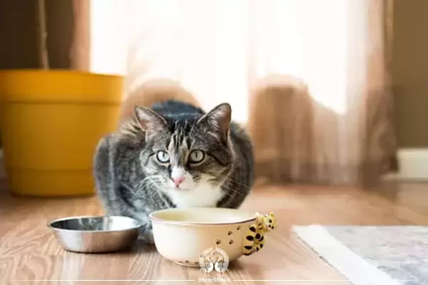 بهترین پارکت لمینت ایرانی