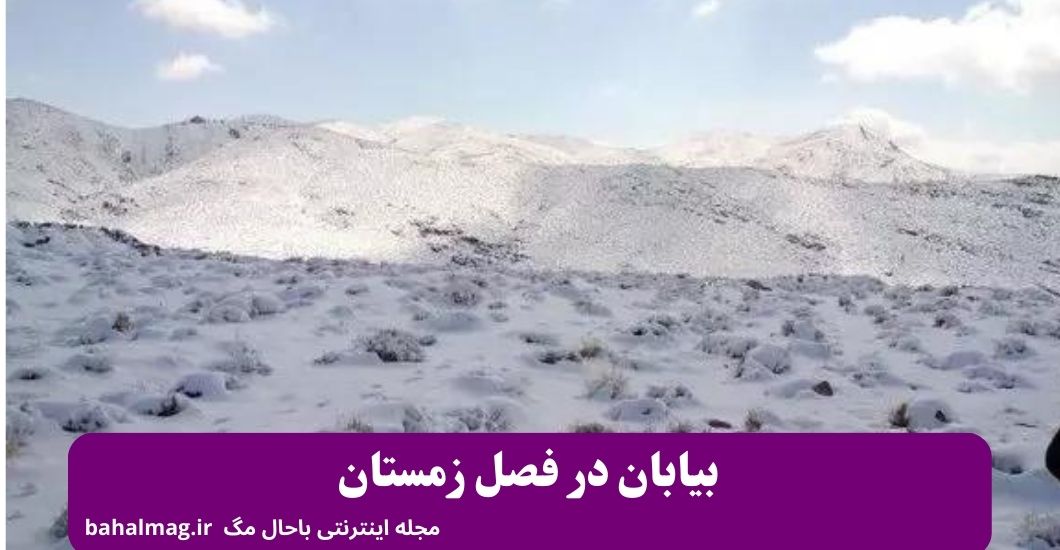 بیابان در فصل زمستان