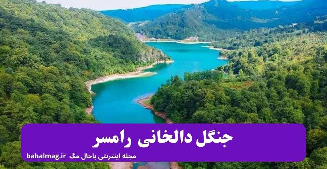 جنگل دالخانی رامسر