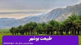 طبیعت بوشهر