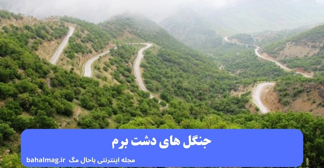 جنگل های دشت برم