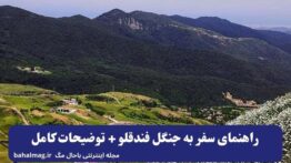 راهنمای سفر به جنگل فندقلو + توضیحات کامل (۱)