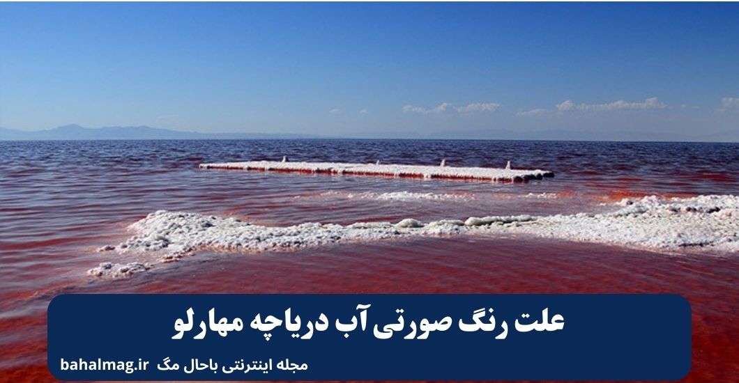 علت رنگ صورتی آب دریاچه مهارلو