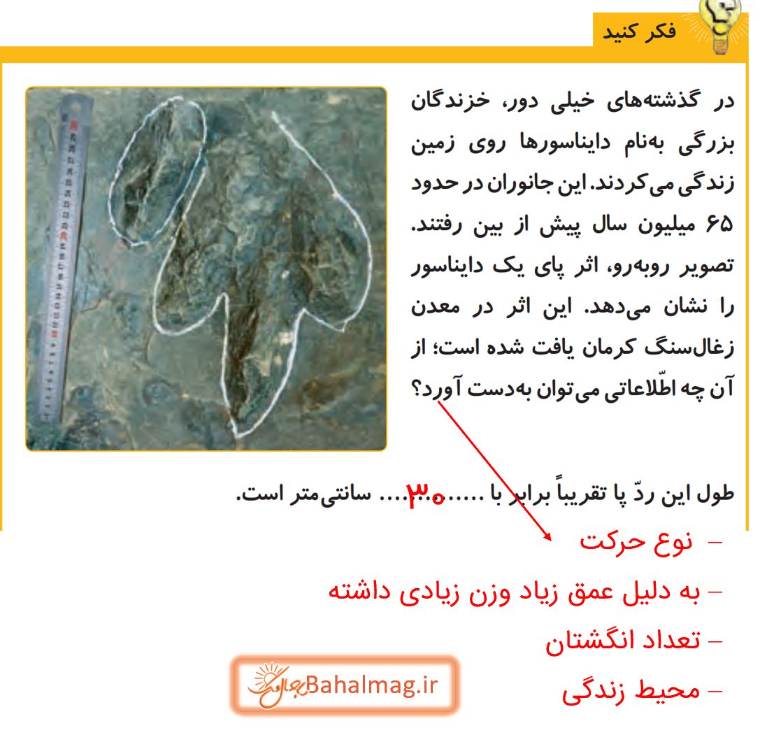 جواب فکر کنید صفحه 29 علوم پنجم دبستان