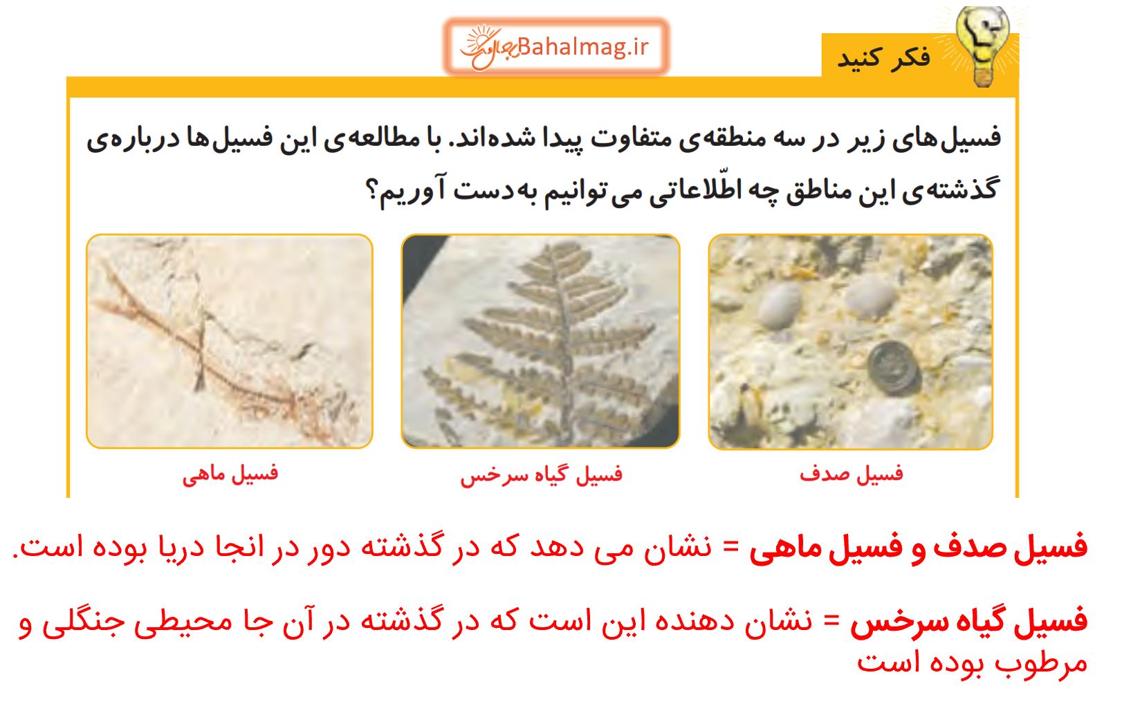 جواب فکر کنید صفحه 34 علوم پنجم دبستان