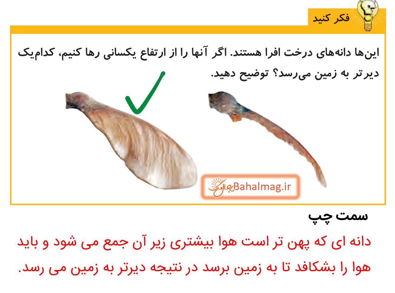 جواب فکر کنید صفحه 6 علوم پنجم دبستان