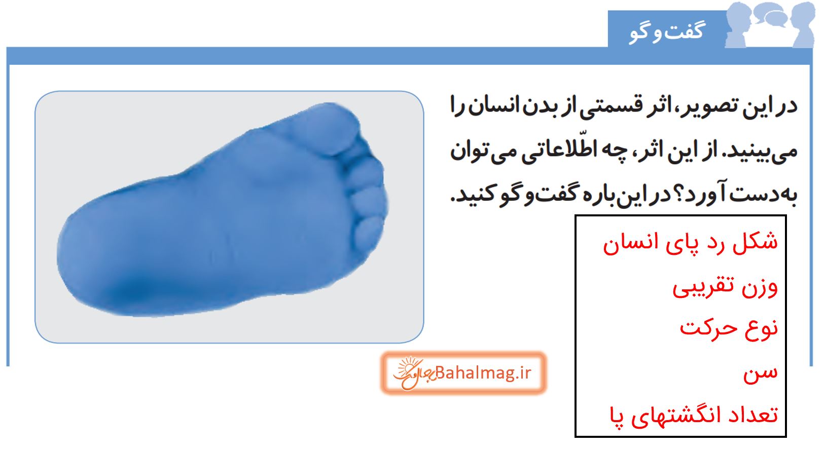 جواب گفت و گو صفحه 29 علوم پنجم دبستان