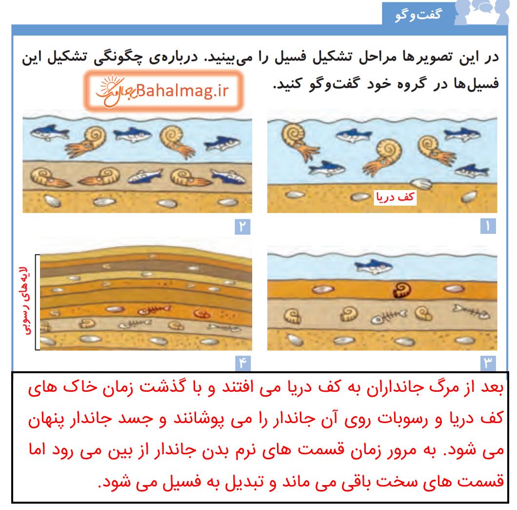 جواب گفت و گو صفحه 33 علوم پنجم دبستان