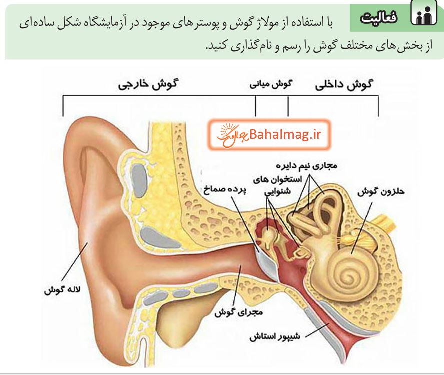 جواب فعالیت صفحه 38 علوم پایه هشتم