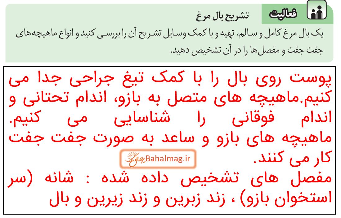 جواب فعالیت صفحه 45 علوم پایه هشتم
