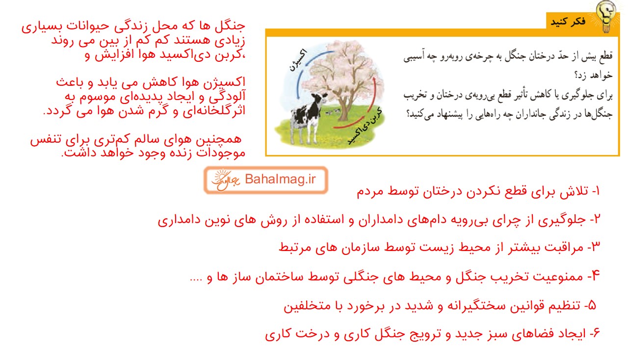 جواب فکر کنید صفحه 14 علوم ششم