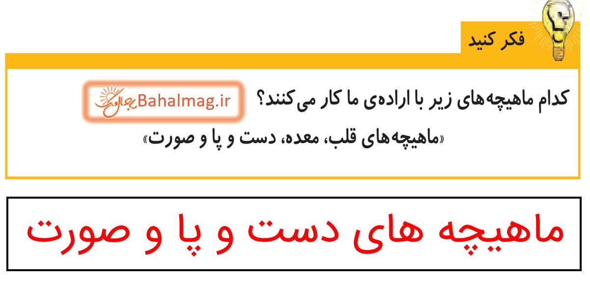 جواب فکر کنید صفحه 39 علوم پنجم دبستان