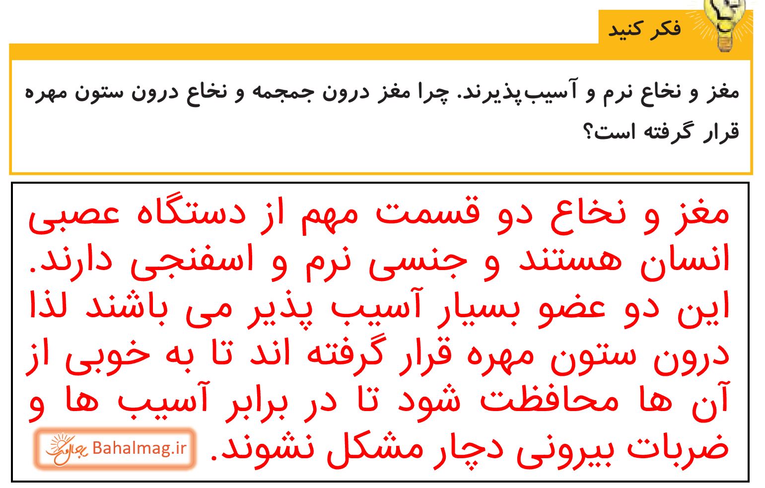 جواب فکر کنید صفحه 43 علوم پنجم دبستان
