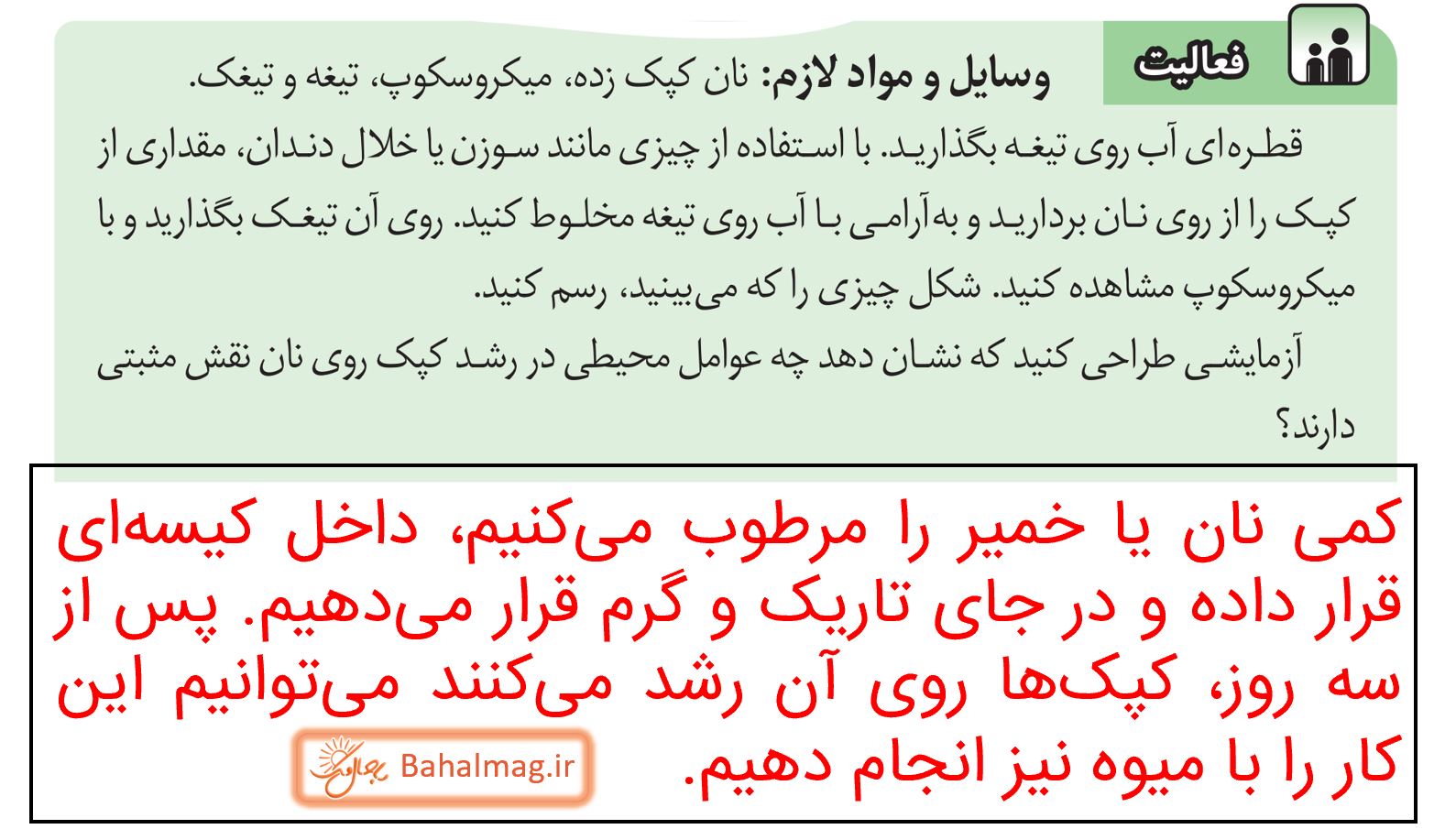 جواب فعالیت صفحه 67 علوم هشتم قسمت 1