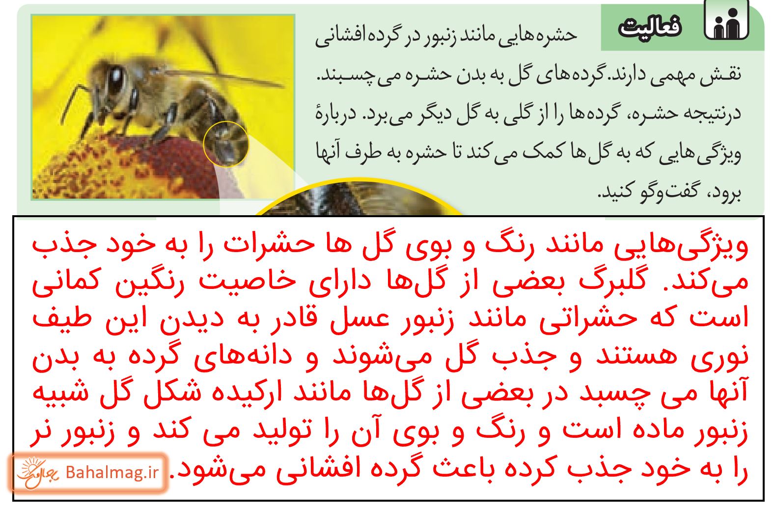 جواب فعالیت صفحه 75 علوم هشتم