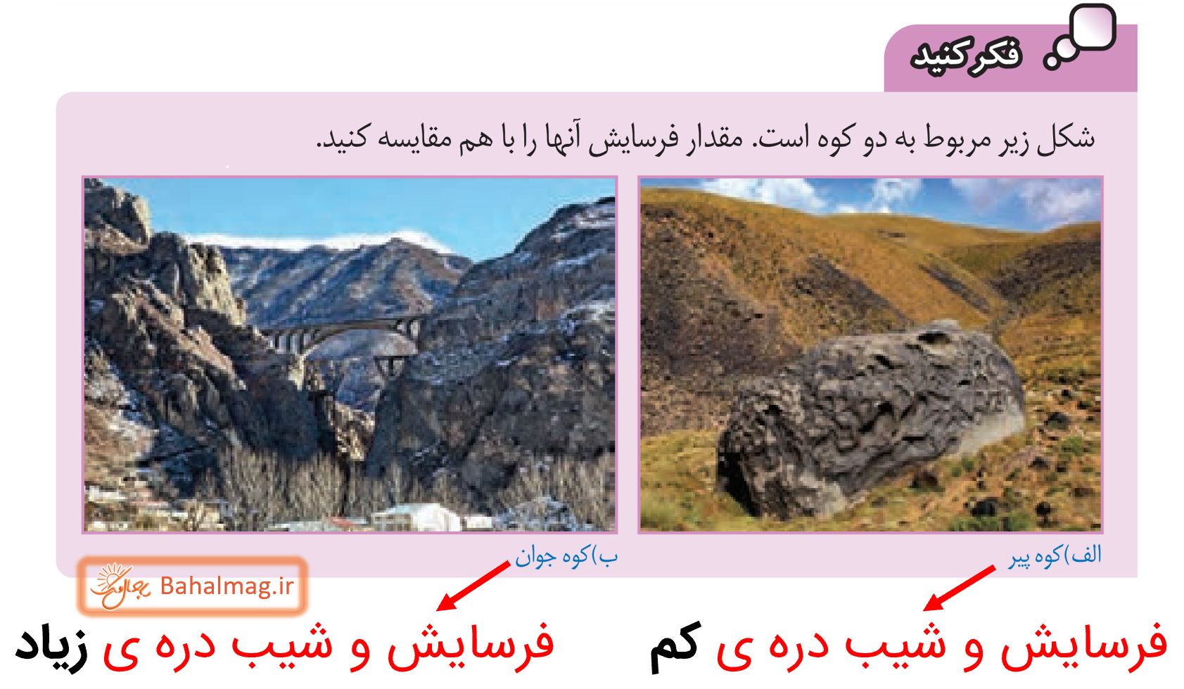 جواب فکر کنید صفحه 115 علوم هشتم
