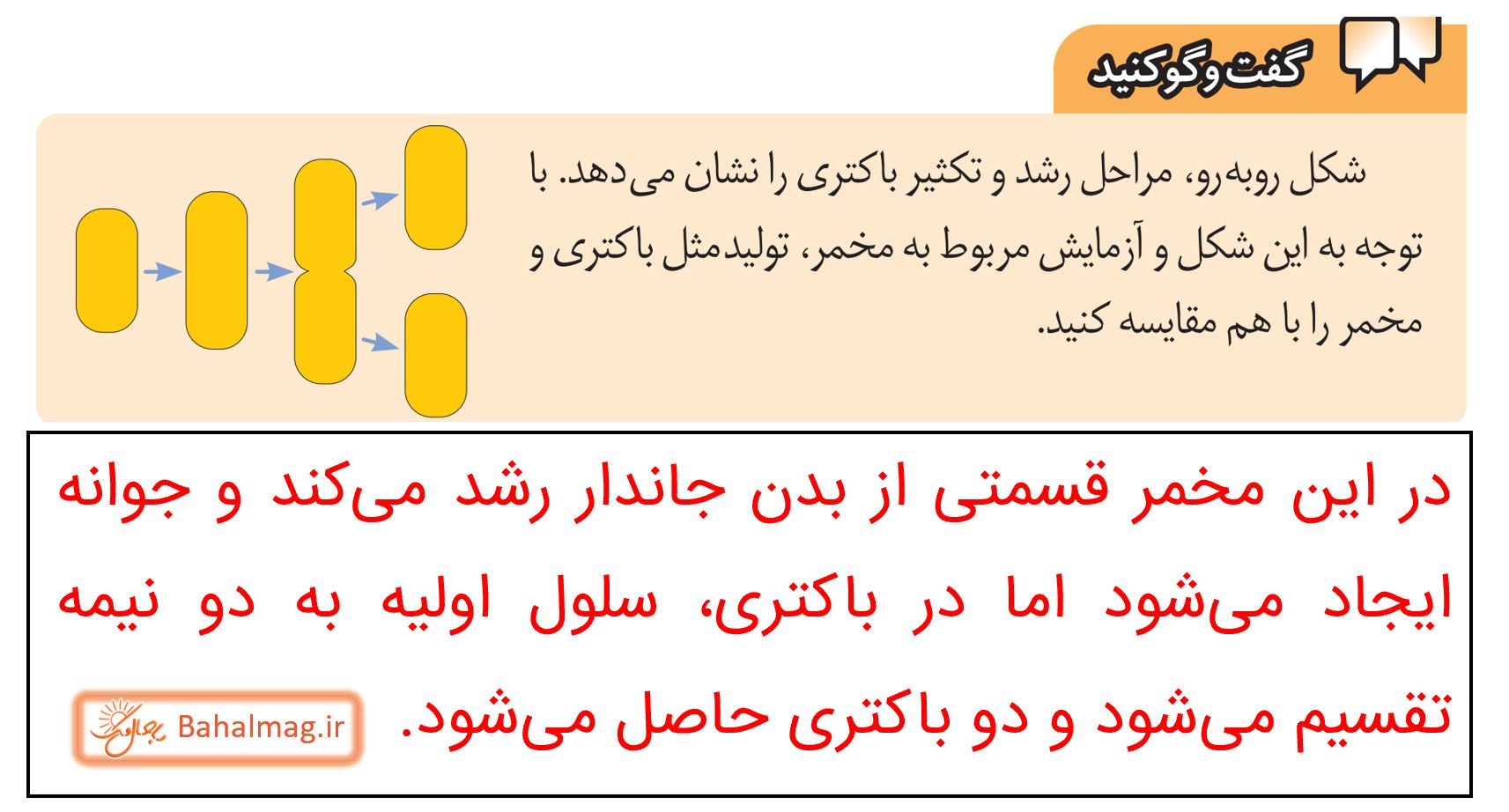 جواب گفت و گو کنید صفحه 66 علوم هشتم