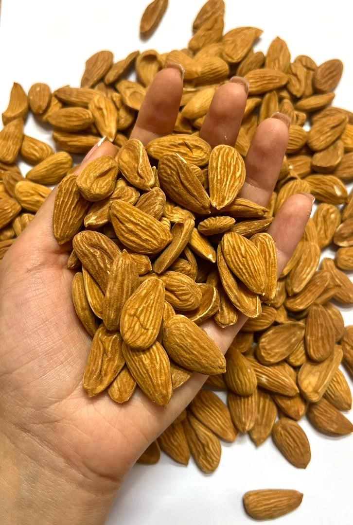 خرید و فروش بادام صادراتی maibadam