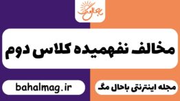 مخالف نفهمیده کلاس دوم