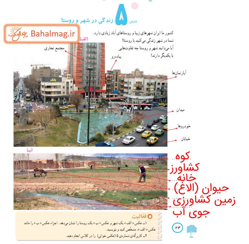 جواب فعالیت صفحه 24 مطالعات چهارم