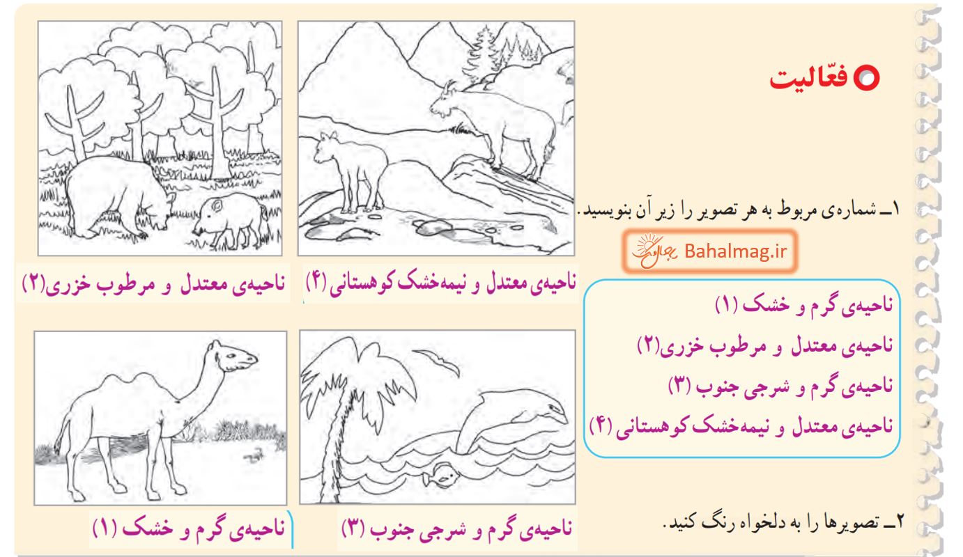 جواب فعالیت صفحه 93 مطالعات چهارم