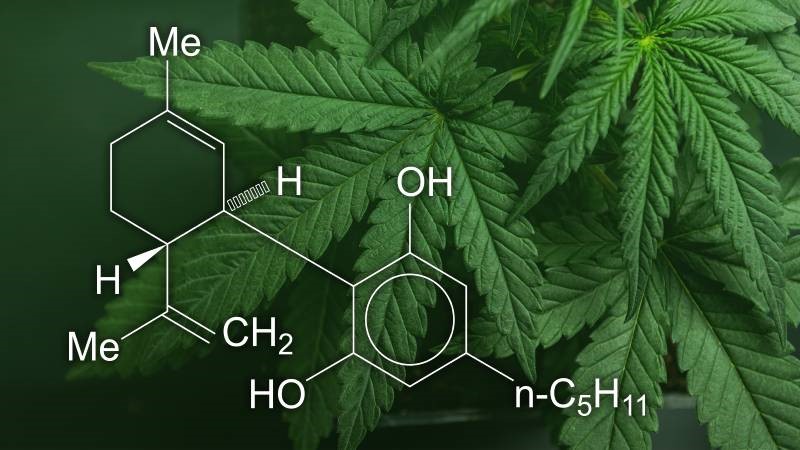 نحوه استفاده از CBD