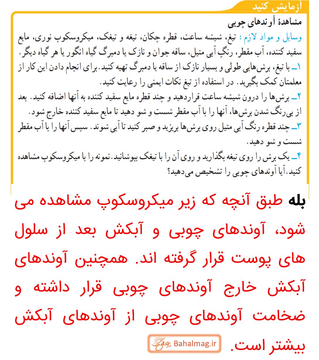 جواب آزمایش کنید صفحه 133 علوم نهم