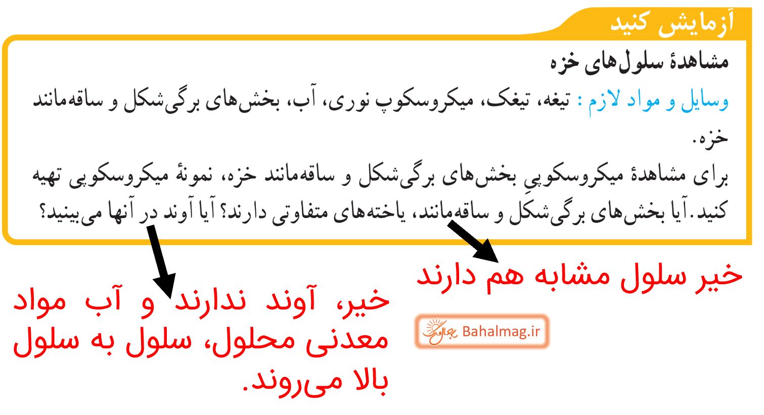 جواب آزمایش کنید صفحه 138 علوم نهم