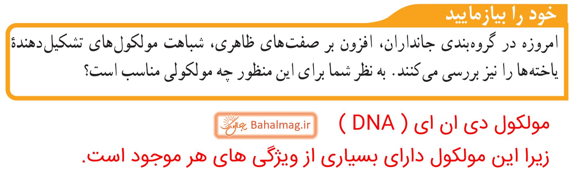 جواب خود را بیازمایید صفحه 123 علوم نهم