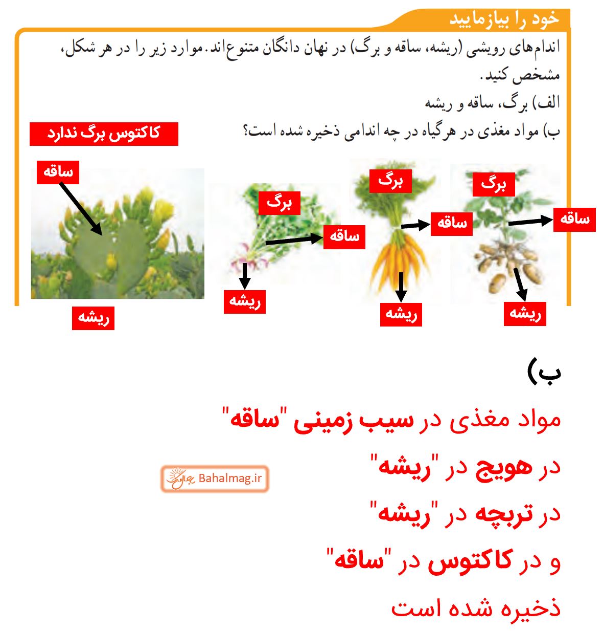 جواب خود را بیازمایید صفحه 137 علوم نهم قسمت 2
