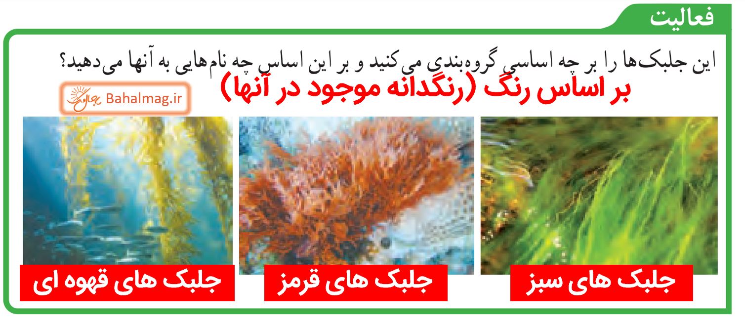 جواب فعالیت صفحه 127 علوم نهم