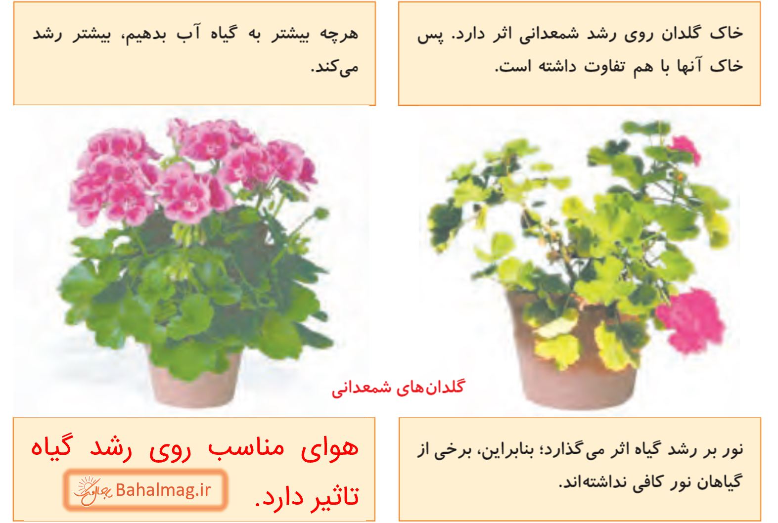 جواب سوالات متن صفحه 90 علوم پنجم