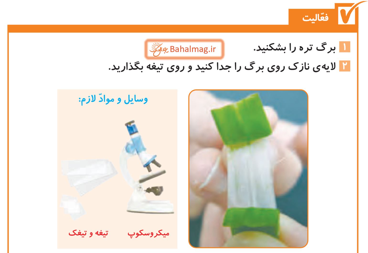 جواب فعالیت صفحه 103 و 104 علوم پنجم قسمت 1
