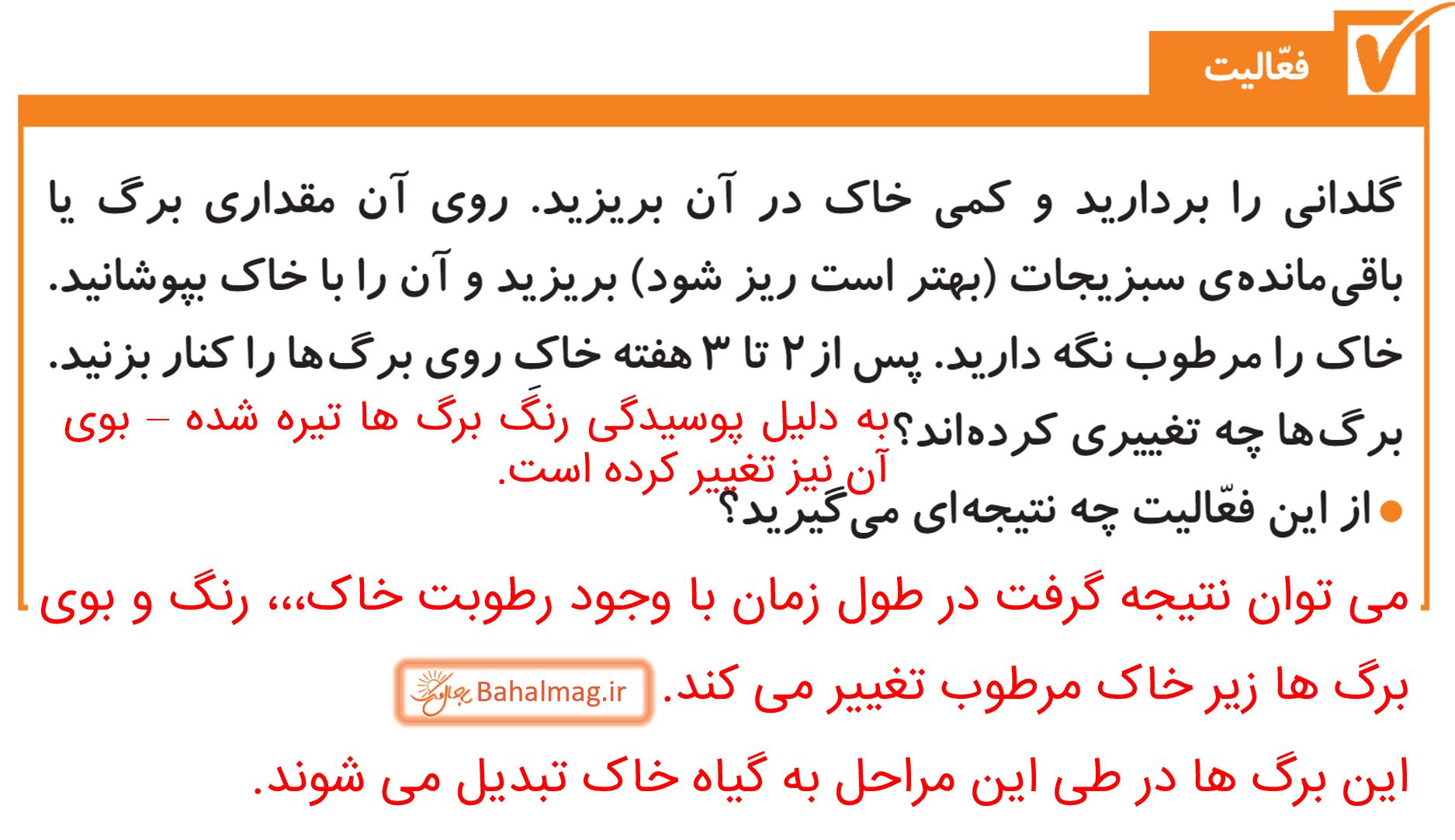 جواب فعالیت صفحه 85 علوم پنجم
