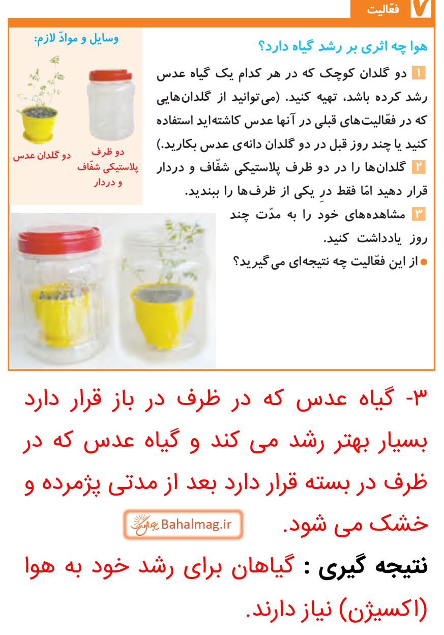 جواب فعالیت صفحه 97 علوم پنجم