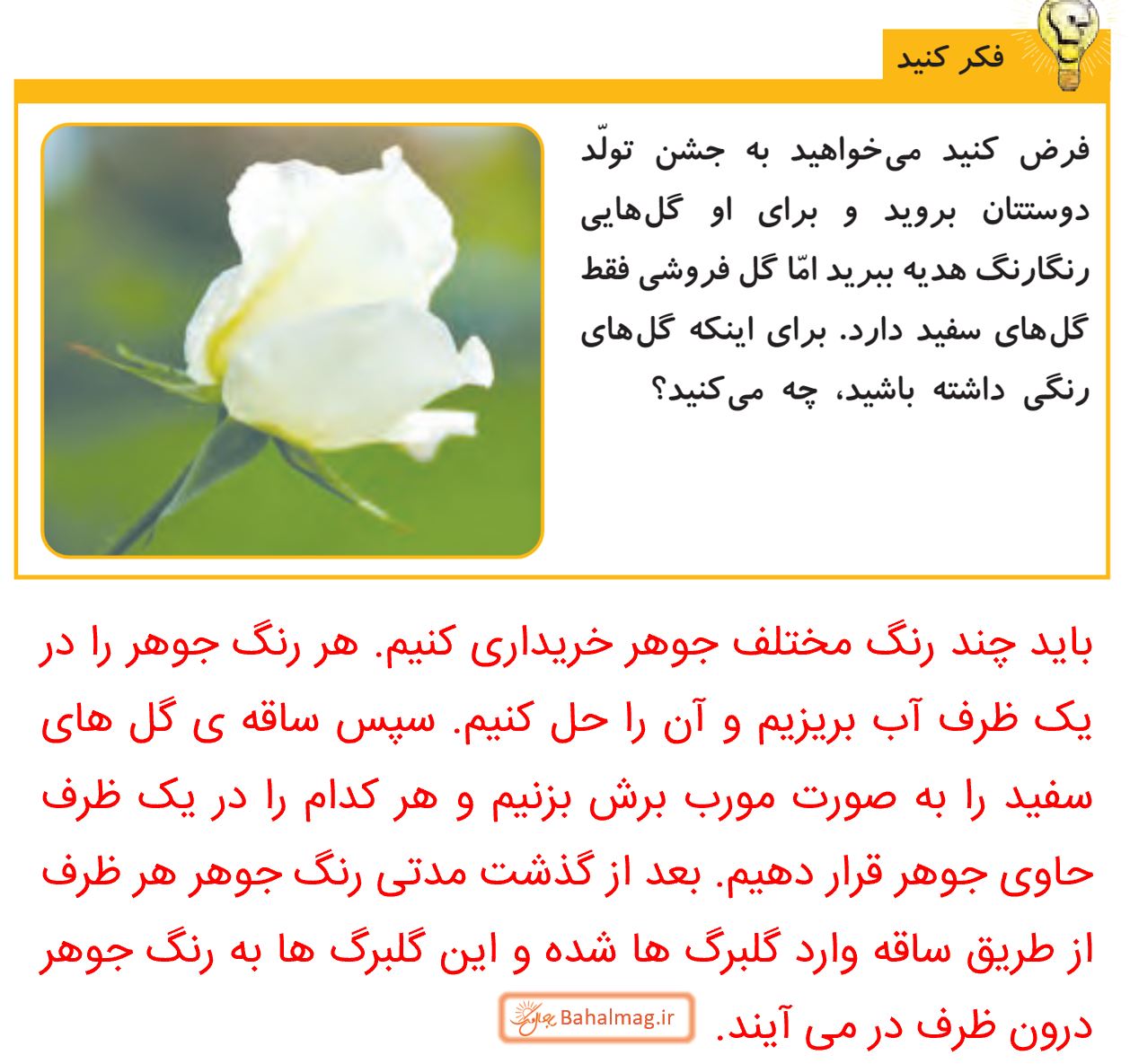 جواب فکر کنید صفحه 103 علوم پنجم