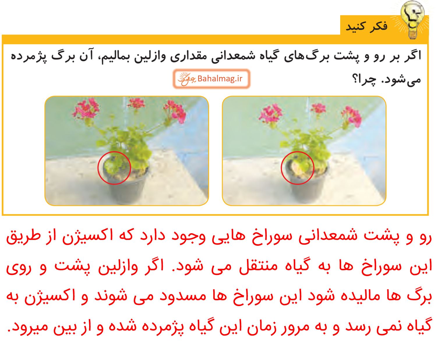 جواب فکر کنید صفحه 104 علوم پنجم