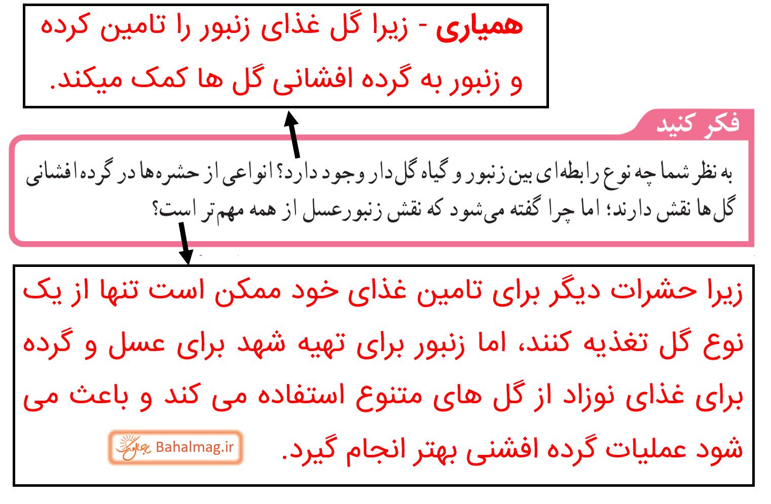 جواب فکر کنید صفحه 167 علوم نهم