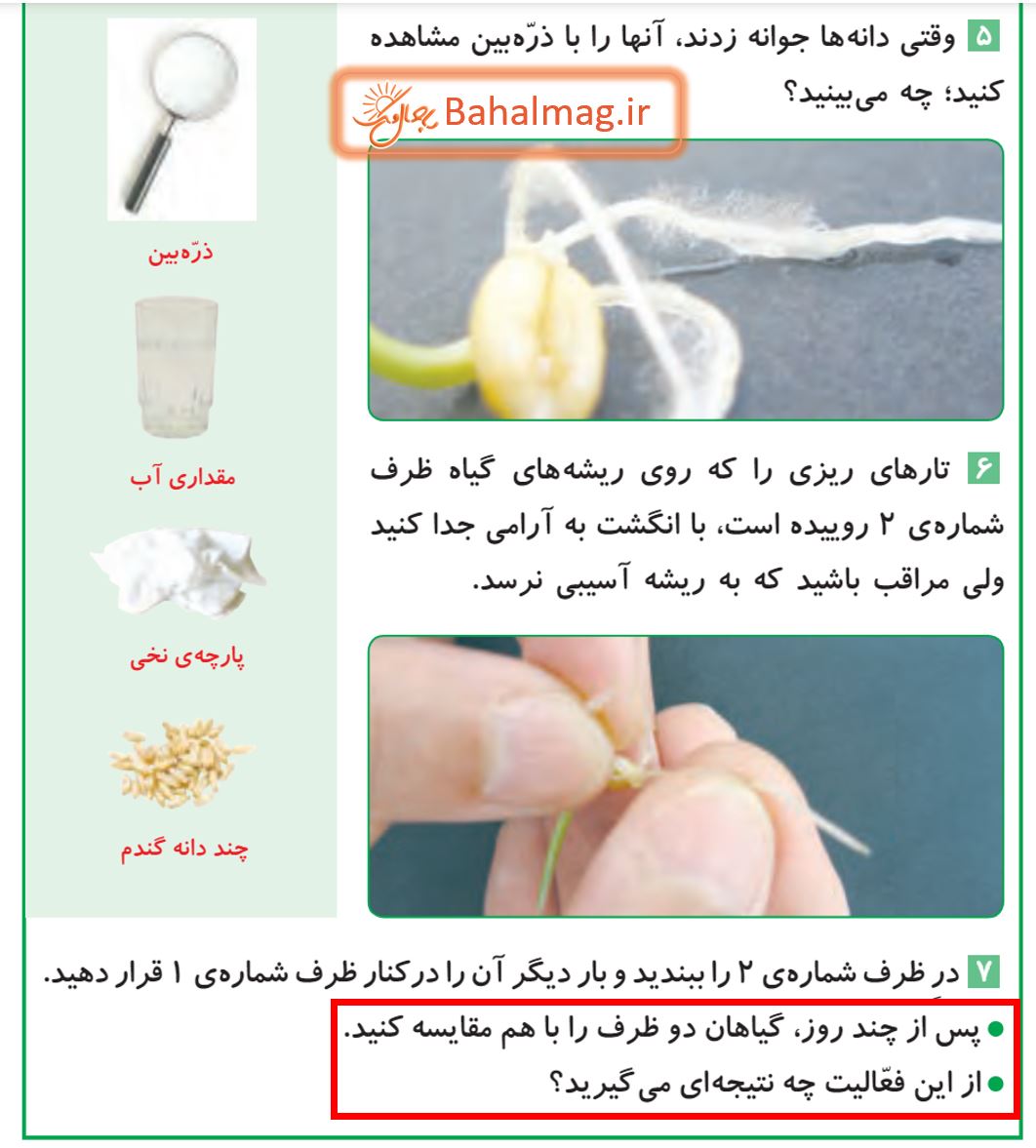 جواب کاوشگری صفحه 100 و 101 علوم پنجم قسمت 2