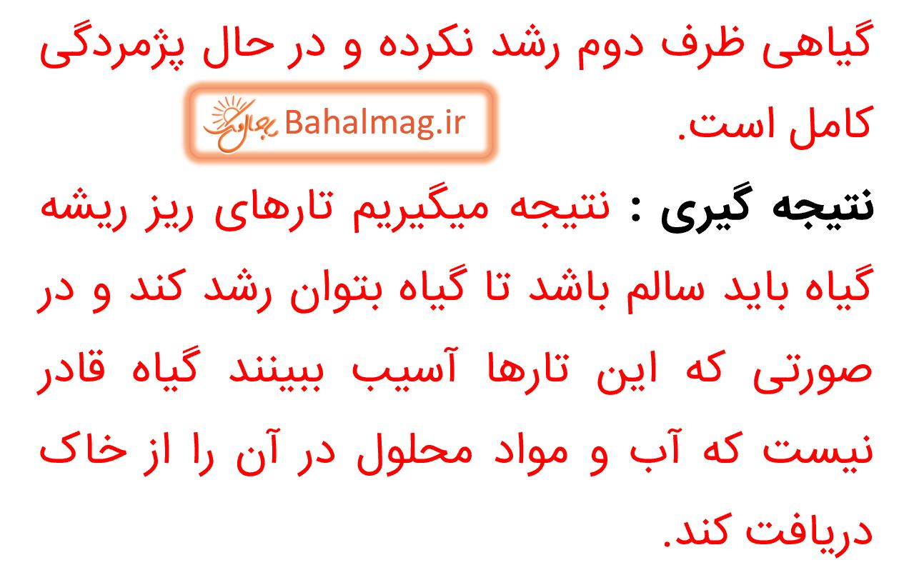 جواب کاوشگری صفحه 100 و 101 علوم پنجم قسمت 3
