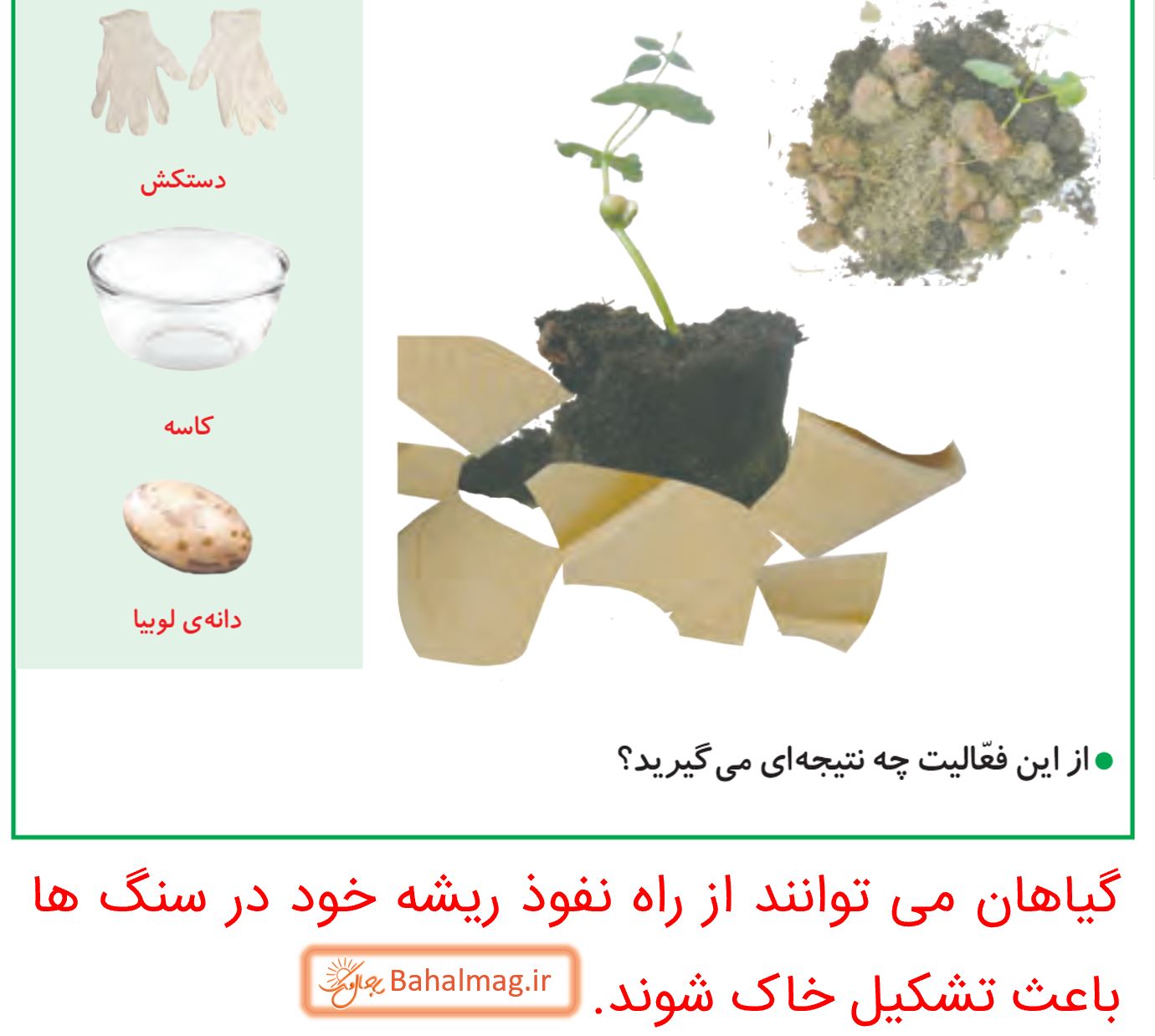 جواب کاوشگری صفحه 81 و 82 علوم پنجم قسمت 2