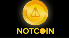 نات کوین آینده پول دیجیتال یا هیاهوی بازار؟