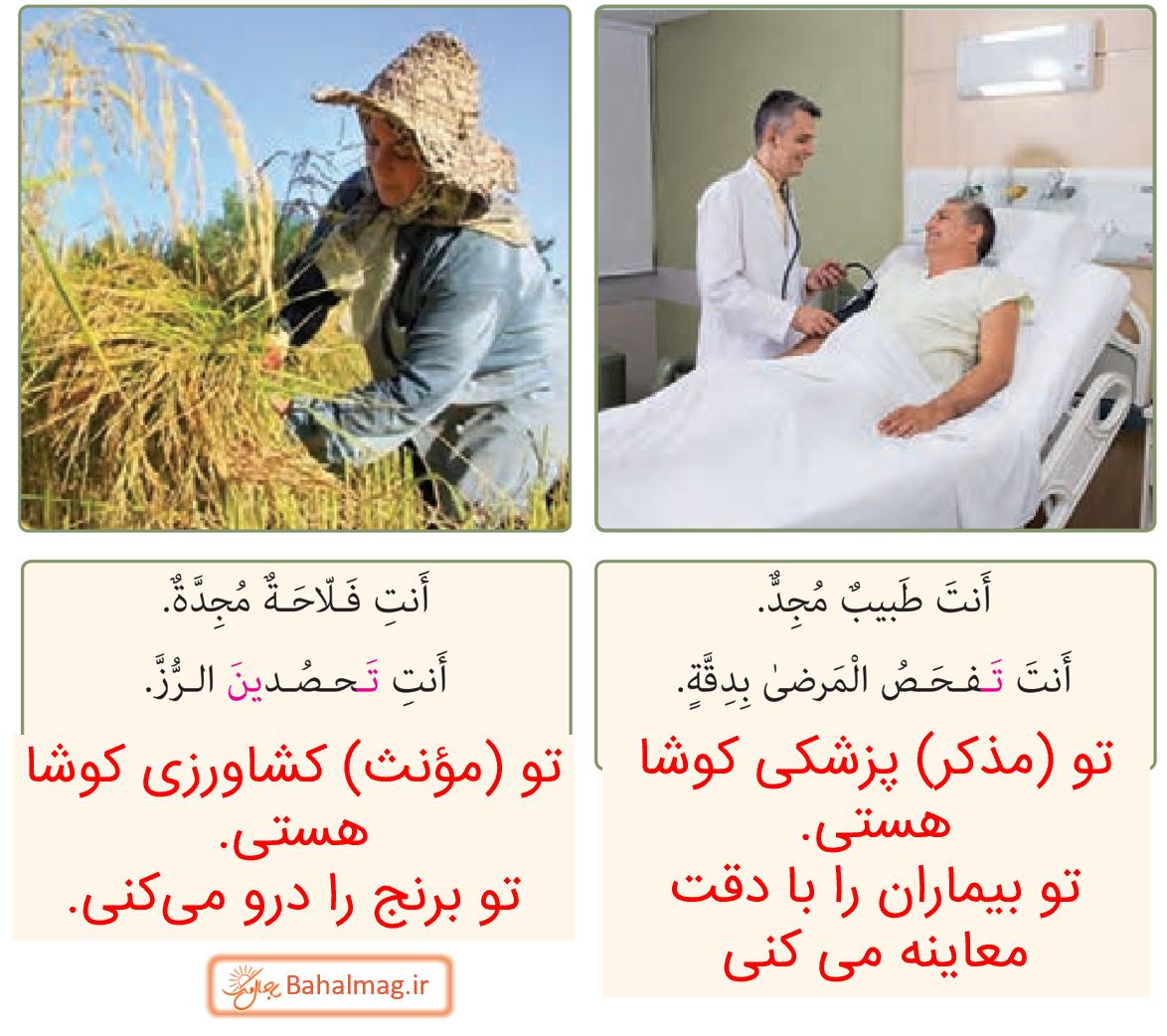 جواب التمرین الثانی صفحه 40 و 41 عربی هشتم قسمت 2
