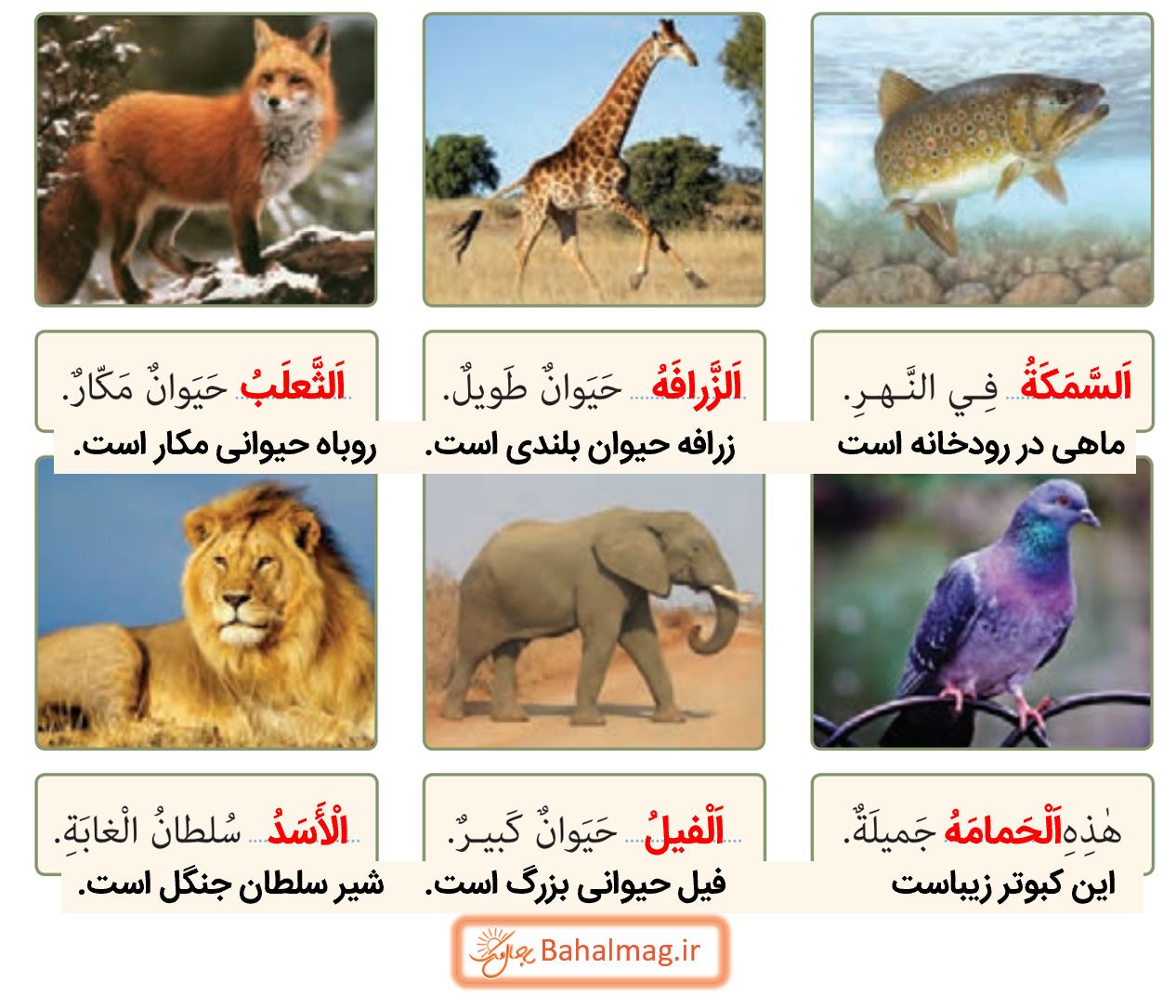 جواب التمرین السادس صفحه 70 عربی نهم قسمت 2