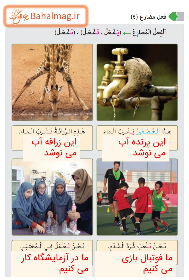 جواب فعل مضارع صفحه 65 عربی هشتم