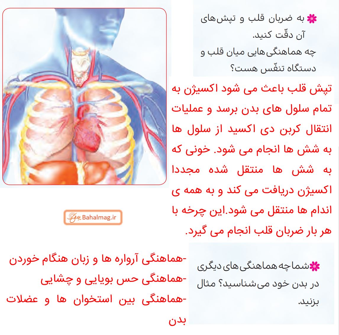 جواب تدبر کنیم صفحه 16 و 17 هدیه پنجم 2
